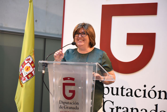 Diputacin logra una ayuda de 3,6 millones para financiar el proyecto Granada Empleo Joven
