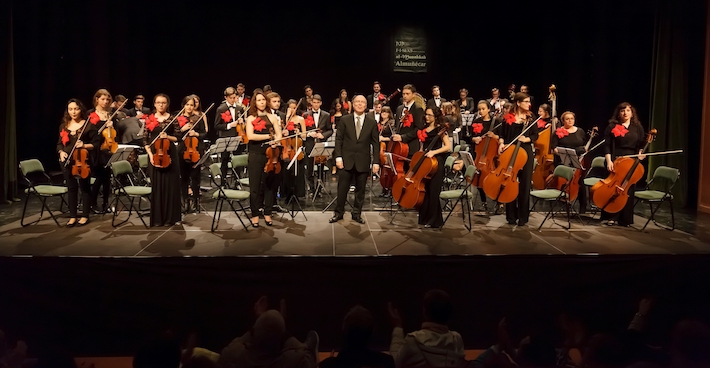 Michael Thomas dirige este domingo la Joven Orquesta Sinfnica en Almucar
