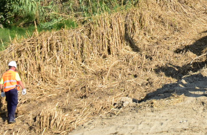 La Junta acomete obras de limpieza en 16 cauces de la Costa contra posibles inundaciones