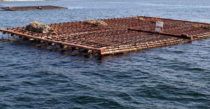 La Junta abre la convocatoria de ayudas 2018 a la acuicultura sostenible, dotada con 10,6 millones de euros