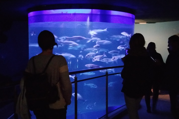 El parque Loro Sexi y el acuario municipal de Almuñécar recibieron 66.000 visitantes en 2017 
