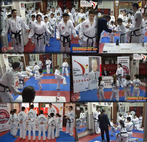 El club KGM Motril celebra la graduación de la temporada 2017/2018 con entrega de las titulaciones para medio centenar de taekwondistas