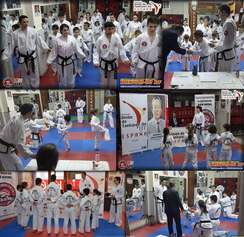 El club KGM Motril celebra la graduacin de la temporada 2017/2018 con entrega de las titulaciones para medio centenar de taekwondistas