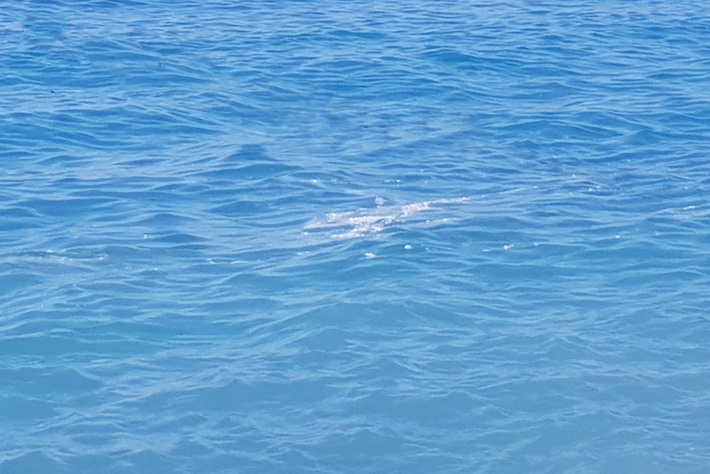 La alcaldesa de Salobreña tranquiliza a los bañistas afirmando que el vertido en la playa del Molino 