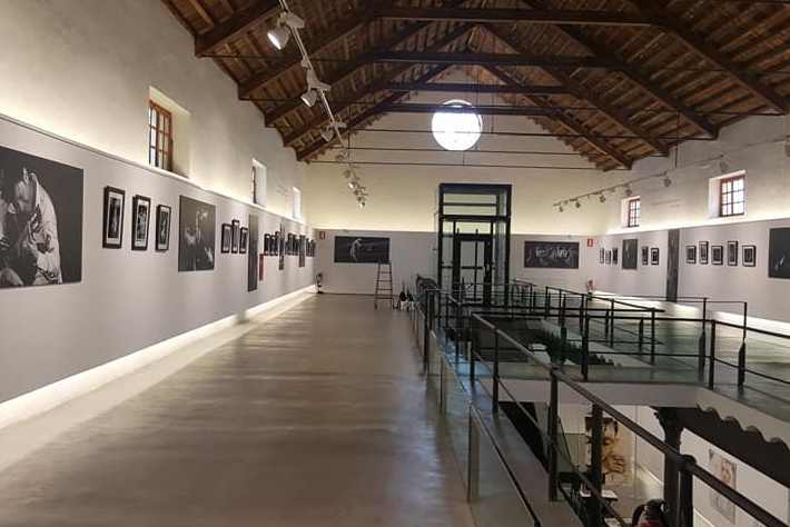 La Caa Flamenca da un paso ms en la Costa Tropical con una muestra artstica en la Fbrica del Pilar de Motril