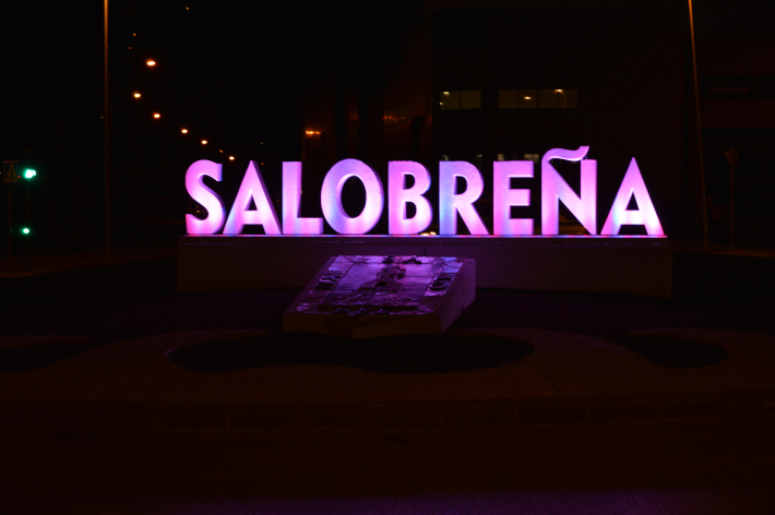 Salobrea muestra su repulsa a la violencia de gnero iluminando de morado la rotonda de entrada durante el mes de noviembre