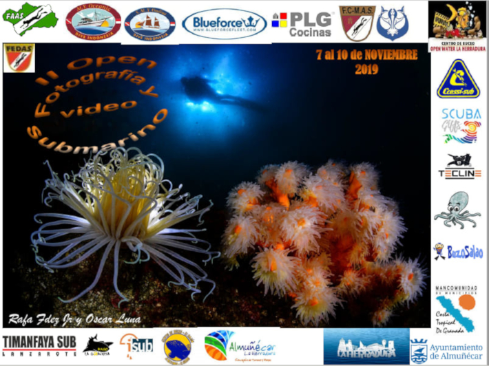 Este jueves arranca el II Open de Fotografía y Vídeo Submarino de Bahía de La Herradura 2019