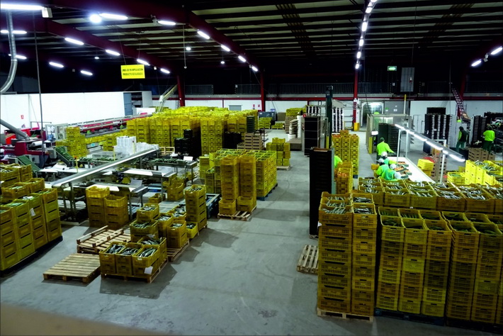 Desde PROCAM afirman que prácticamente el 100% de la plantilla está al lado de la empresa.