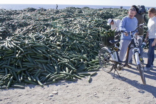El día 19 se ha convocado un Paro Agrario del sector hortofrutícola granadino y una manifestación a las 11:00 de la mañana en Motril.