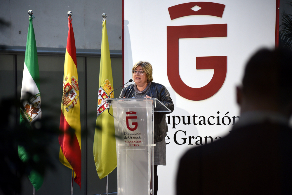 Diputacin ampla el plazo de ejecucin de las ayudas para la reactivacin econmica  local frente a la pandemia
