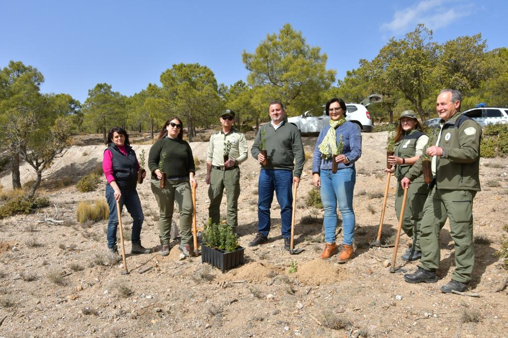 Plantación de 500 árboles por el Día de Andalucía