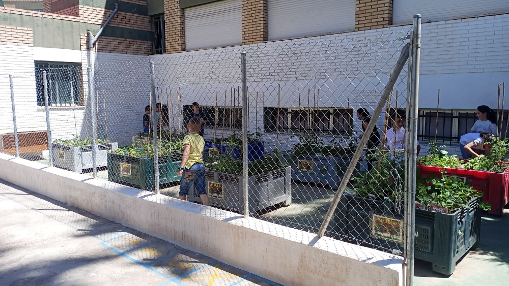 El CEIP Virgen de la Antigua de Almucar pone en marcha un Huerto Escolar de 150 m2 