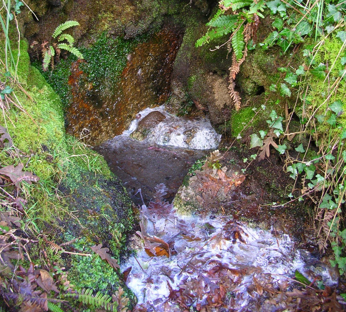 Abierto el plazo de inscripción a las II Jornadas sobre las Aguas Minerales y Termales