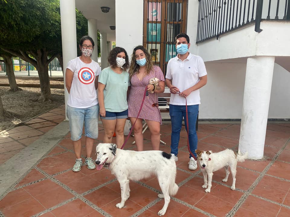Este miércoles se realiza una campaña de vacunación antirrábica de mascotas en Lobres